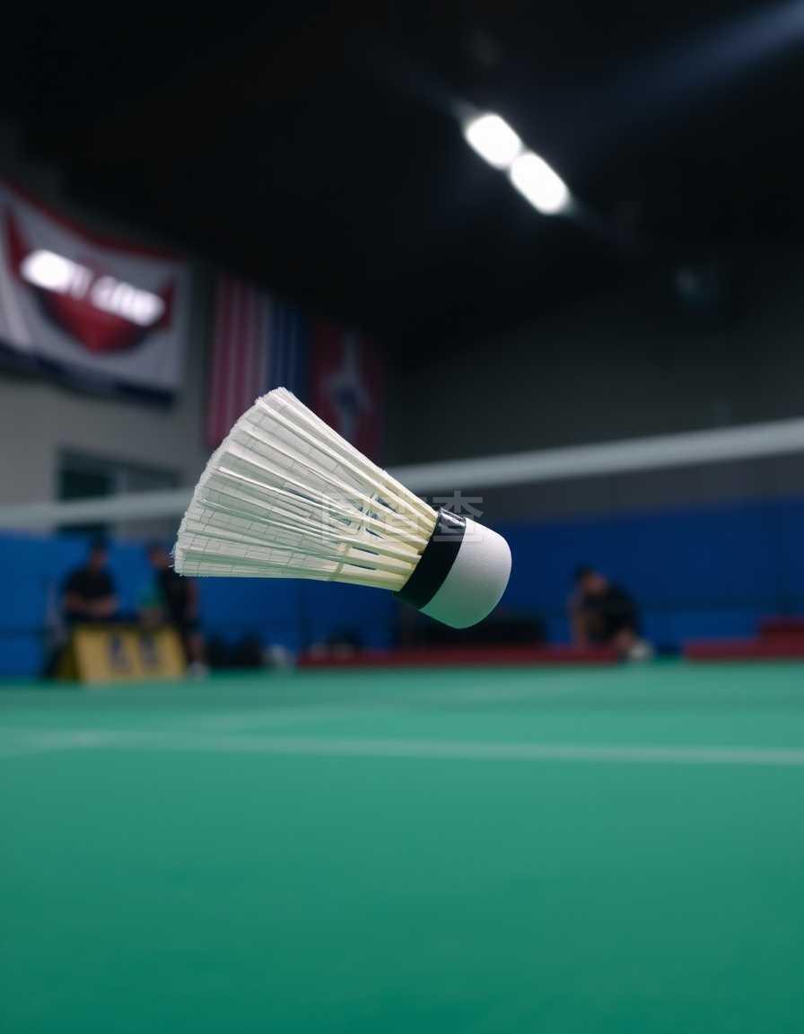 场上的精彩 场上的精彩