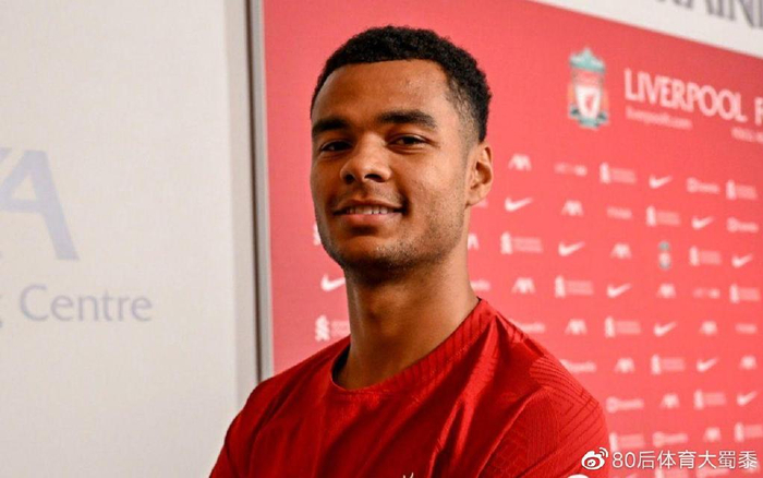 日本对荷兰 日本对荷兰